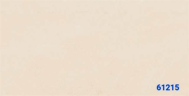 Gạch Ấn Độ 60x120 – mã QH0691f