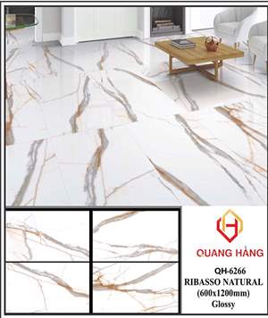 Gạch Ấn Độ 60x120 – mã QH83jpg