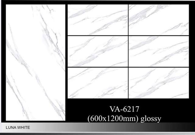 Gạch Ấn Độ 60x120 – mã QH67d51