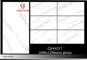 Gạch Ấn Độ 60x120 – mã QH51jpg