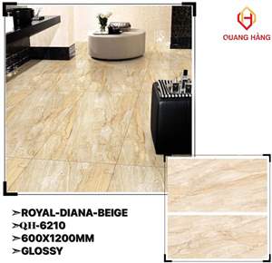 Gạch Ấn Độ 60x120 – mã QH3djpg