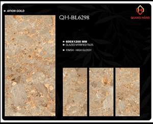 Gạch Ấn Độ 60x120 – mã QH9jpg1