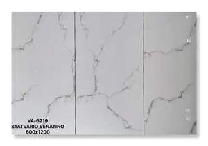 Gạch Ấn Độ 60x120 – mã QHc9549