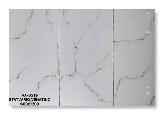 Gạch Ấn Độ 60x120 – mã QHc9549
