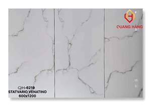 Gạch Ấn Độ 60x120 – mã QH49jpg