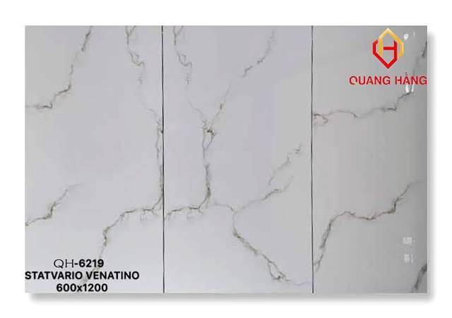 Gạch Ấn Độ 60x120 – mã QH49jpg