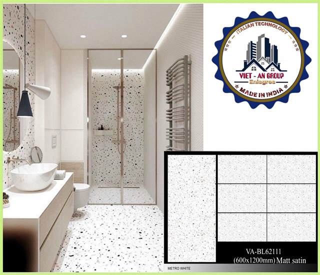 Gạch Ấn Độ 60x120 – mã QH638a6