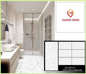 Gạch Ấn Độ 60x120 – mã QHa6jpg