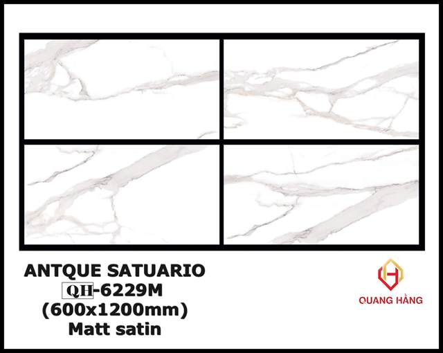 Gạch Ấn Độ 60x120 – mã QH8cjpg