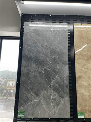 Gạch Trung Quốc 60x120 – mã QH4d3a9