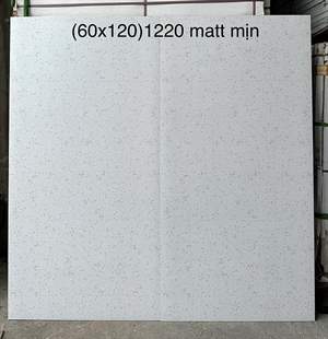 Gạch Trung Quốc 60x120 – mã QHb3a98