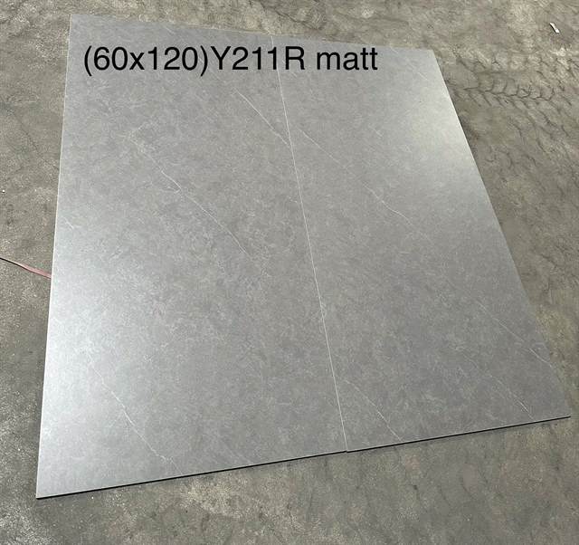 Gạch Trung Quốc 60x120 – mã QHac1b3