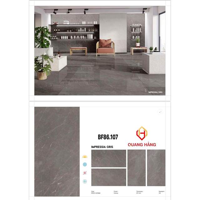 Gạch Ấn Độ 80x160 – mã QH68jpg