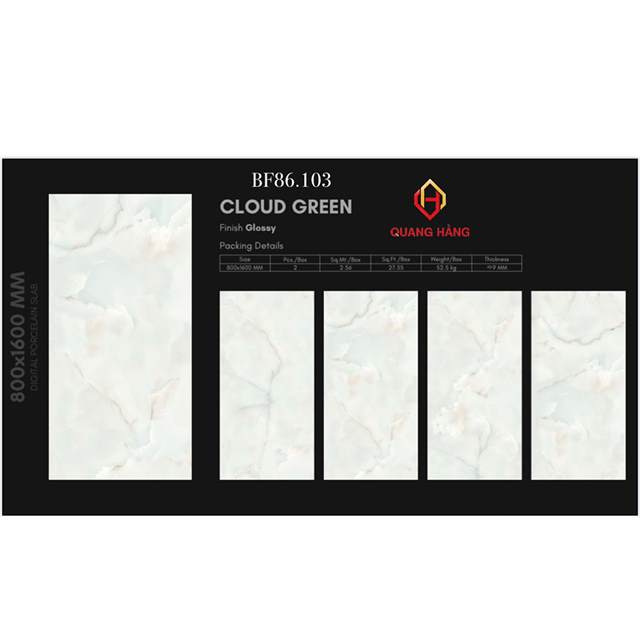 Gạch Ấn Độ 80x160 – mã QH0bjpg