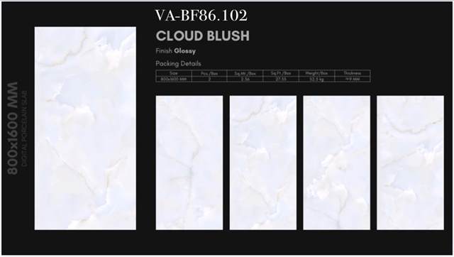 Gạch Ấn Độ 80x160 – mã QH284b4