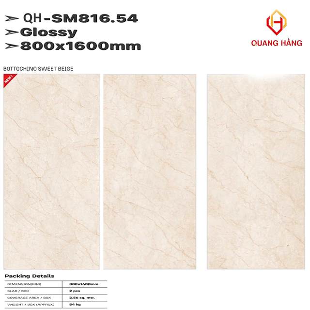 Gạch Ấn Độ 80x160 – mã QH57jpg