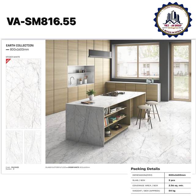 Gạch Ấn Độ 80x160 – mã QHc6e08