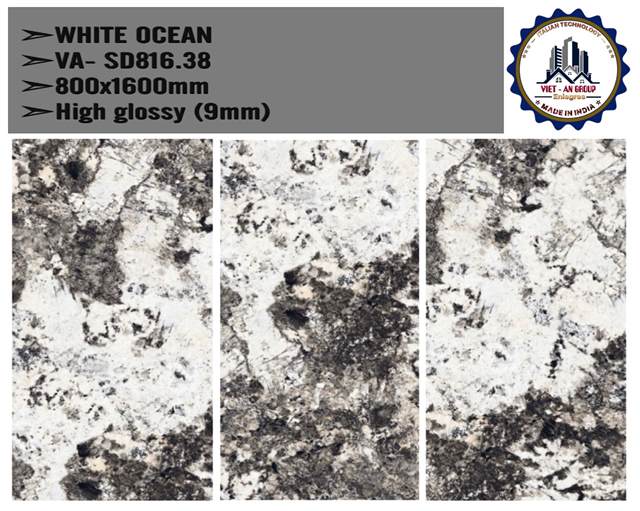 Gạch Ấn Độ 80x160 – mã QH4bdc2