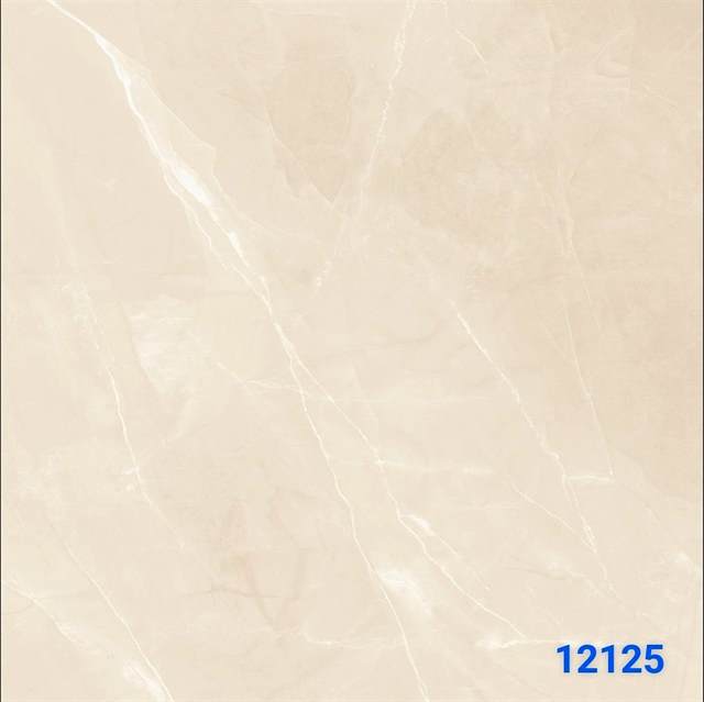 Gạch Ấn Độ 120x120 – mã QH51cd5